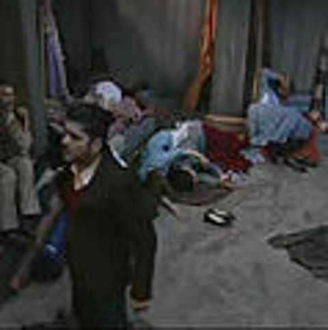 A picture containing group, severalDescription automatically generated