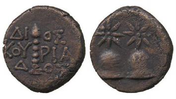 2coins-dioscuria_.jpg