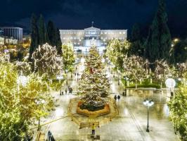 Athens-tree_PHOTO1-1024x768-1.jpg