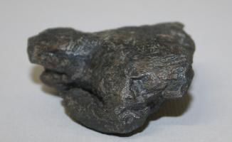 HcqZcu1499761107_.jpg