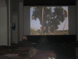 IMG_0017.jpg