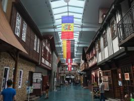 IMG_1684.jpg