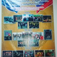 IMG_20151115_113204_.jpg