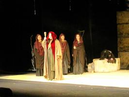 IMG_4312-min.jpg