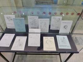P1010797_.jpg