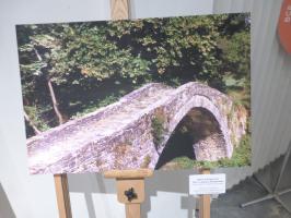 P1060286_.jpg