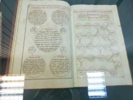 P1060502_.jpg