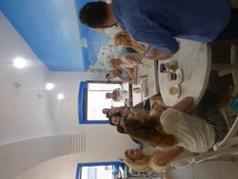 P1090642_.jpg