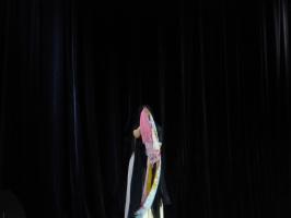 P1260524_.jpg